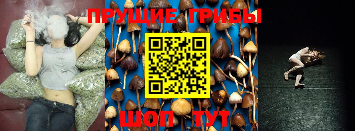 Псилоцибиновые грибы Cubensis Северодвинск